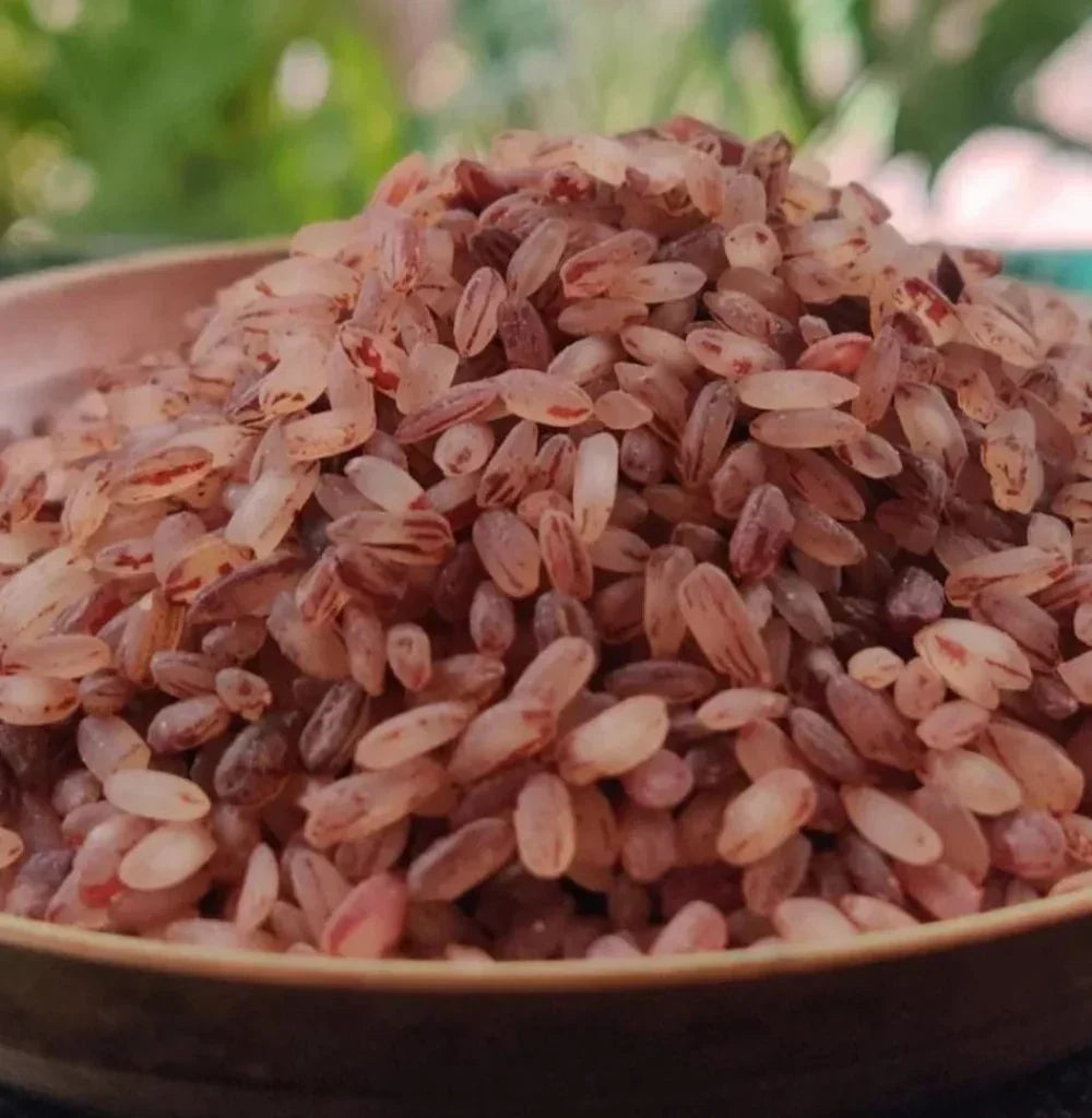 Palakkadan Matta Rice: The Unpolished Red Rice from Kerala's "Rice Bowl"